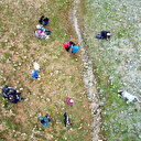 2 bin rakımda fotoğrafladılar: Sadece 3 haftalık ömrü var
