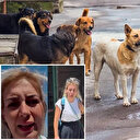 Kuduz köpekleri Şanlıurfa'dan Ankara'ya taşıyan Buket Özgünlü tahliye edildi