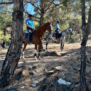 Burdur Valiliği resmen duyurdu: 15 Haziran'dan itibaren ormana girişler yasaklandı