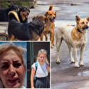 Kuduz köpekler Ankara'ya mı getirildi? Valilik harekete geçti