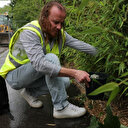 Europe: Augmentation des cas de dengue