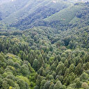 Meteoroloji uyardı önlem geldi: Türkiye genelinde 27 ilde ormanlara giriş yasaklandı