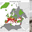 Salgın hastalıklara yol açabilir: Havalar ısınınca ortaya çıktı tehlike kapıda