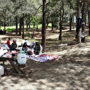 Bir ilde daha ormana girişler kısıtlandı: Bu saatlerde ateş yakılamayacak