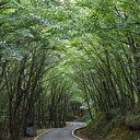 Valilik duyurdu: Bir ilde daha ormanlık alanlara girişler yasaklandı