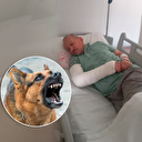 Bir başıboş köpek terörü daha: Sokak köpekleri yüzünden kendi canlarımızı kurban veriyoruz