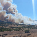 Çanakkale’de orman yangını