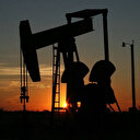 TPAO'nun 2 şehirdeki bazı sahaları için kamulaştırma kararı alındı