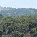 Bingöl'de ormanlık alanlara girişler yasaklandı mı?