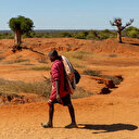 Madagascar, 1er pays à bénéficier d'un cadre renforcé FMI, la Banque mondiale sur le climat