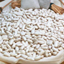 Ayşe’nin pizza kenarı sorunu üzerine