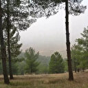 Bir ilde daha ormanlık alanlara girişler yasaklandı