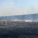 Geçen yıl mercek düzenekleri bulunmuştu: Mardin'de aynı tarlada dördüncü vaka