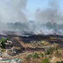 Düzce'de çöplük alanda çıkan yangın buğday ve mısır tarlalarına sıçradı