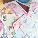 Mevduatta TL dönemi