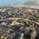 Çanakkale'de makilikte çıkan yangın antik kente sıçradı: Dört saatte kontrol altına alındı