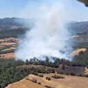 Arazide çıkan yangın ormana sıçradı: Havadan ve karadan müdahale ediliyor