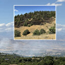 Elazığ'da yangın: 45 dönüm ormanlık alan zarar gördü