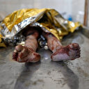 Après une mission à Gaza, des soignants américains racontent l'horreur pour faire pression