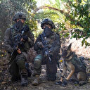 L'ONU critique les pratiques des soldats israéliens qui lâchent des chiens sur les détenus palestiniens