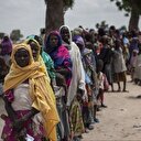 L'ONU accorde 11 millions de dollars pour lutter contre l'insécurité alimentaire au Nigeria