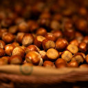 La Türkiye récolte plus de 1,8 milliard de dollars grâce aux exportations de noisettes