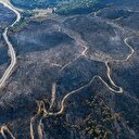 Selçuk'ta yangında zarar gören ormanlık alan havadan görüntülendi