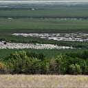 Ukraine: Réveil de la végétation après la destruction du barrage de Kakhovka