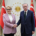 Cumhurbaşkanı Erdoğan Akşener'i kabul etti