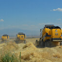 Bakanlık duyurdu: 2024 hububat alım fiyatları belli oldu