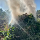 Diyarbakır'da dev uyuşturucu operasyonu: 2 milyon kök Hint keneviri ele geçirildi