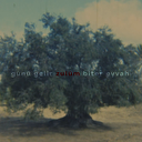 Rap sanatçılarından Filistin parçası: Nefer'den ses getirecek eser