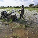 Niger : La Banque mondiale annonce une aide de 350 millions USD pour les secteurs de l'agriculture et de l'élevage