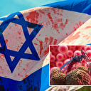 Gazze'de soykırım yapan İsrail'in Batı Nil virüsü salgını ile başı dertte