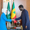 Türkiye-Sénégal: La ministre Mahinur Özdemir Göktas rencontre le président Faye
