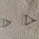 Türkiye: Baby boom des tortues marines sur la côte méditerranéenne