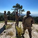 Bir ilde daha ormanlara girişler yasaklandı