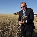 Cumhurbaşkanı Erdoğan 'Bakanlarıma talimat verdim' diyerek açıkladı: Çiftçinin sıkıntısı giderilecek