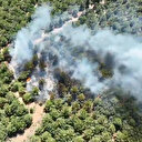 Bayramiç'teki orman yangını 24 saat sonra kontrol altına alındı