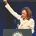 Demokratlarda Kamala çatlağı