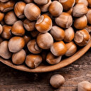 Fındık alım fiyatları belli oldu! Ordu, Giresun, Sakarya, Düzce TMO güncel fındık fiyatları ne kadar? Tarım ve Orman Bakanlığı açıklaması