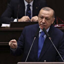 Cumhurbaşkanı Erdoğan sokak hayvanları yasası konusunda net konuştu: Başıboş köpek yasası geri çekilecek mi?