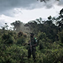 RDC: À l'Est, cri d'alarme face à la déforestation d'un parc national