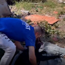 Mama yardımı toplayan adam köpeğin saldırısına uğradı