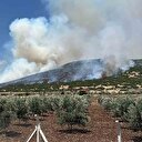 Kahramanmaraş'ta korkutan yangın: Makilik alana sıçradı