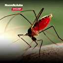 Burkina: à chacun ses moyens de prévention du paludisme