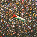 Acının içinden geçen çizgiler