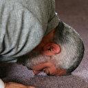 Le Haut Conseil d'État libyen exprime ses condoléances pour l'assassinat d'Ismail Haniyeh à Téhéran