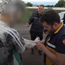 Pişkin pişkin sırıttılar: Erzurum'da polisin darp ihbarı diye gittiği olay doğum günü şakası çıktı