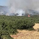 Kahramanmaraş'taki yangınlardan biri kontrol altında diğeri sürüyor